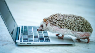 厨二病が選ぶ かっこいい 数式ランキングtop10 見えない世界を追い求めて